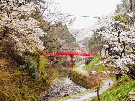 Mount Koya is the common name of a huge temple settlement in Wakayama Prefecture to the south of...