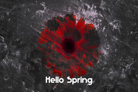 Hello March background with Gerbera flowerの写真素材