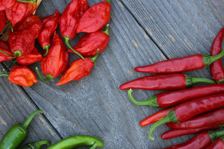Peppers outdoors at rural farmers market, Jalapeno, Cayenne and Bhut Jolokia