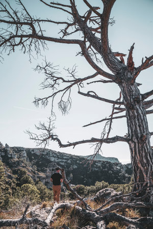 A person high up in the rocky mountains looking into the distanceの写真素材