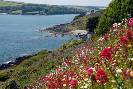 Beautiful view from R612 (Coast Road), half way between Fountainstown Beach and Myrtleville Beach, County Cork, Irelandの写真素材