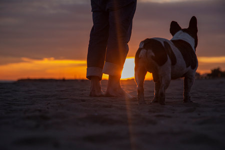 Low section of man with dog standing at beach against sky during sunset