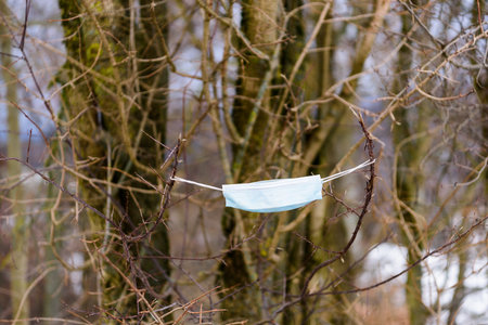 medical mask against pandemic hangs on branches in tree without leaves in winterの写真素材