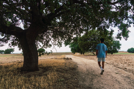 Young man in sports clothes walking along a path with a big tree in the middle of fields in summerの写真素材