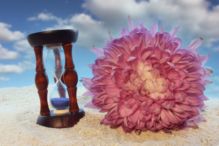 Purple Chrysanthemum and Vintage Hourglass on Beach With Blue Sky