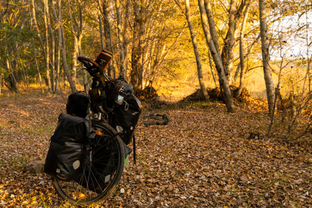bikepacker bike loaded with bags in forestの写真素材