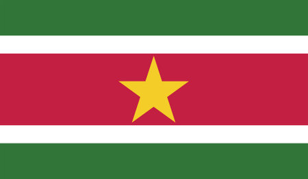 Vector illustration of the flag of Surinameのイラスト素材