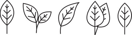 2D illustration of different-shaped leaves on an isolated white backgroundのイラスト素材