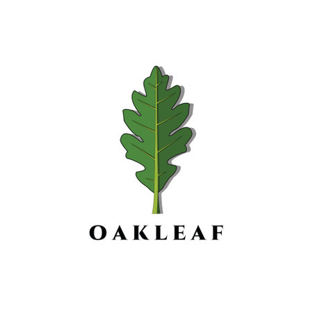 Oak leaf logo vector, illustration, designのイラスト素材