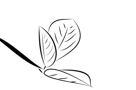 Digital vector illustration of a leaf branch on a white backgroundのイラスト素材