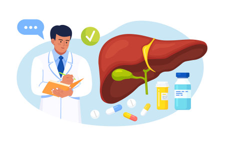 Doctor examining human liver for hepatitis, cancer, cirrhosis. Physician writing results of liver checkup. Medical laboratory research, diagnosis and treatment of internal organのイラスト素材