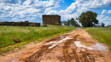 Wet Muddy Road with Large Haystacks in Nearby Paddock