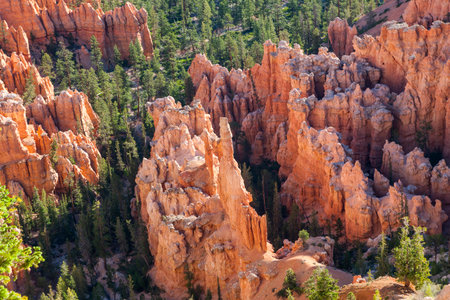 Bryce Canyon Panorama View, Arizona, United States of America