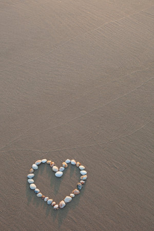 a big heart made of musslesの写真素材