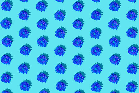 Creative minimal flat lay pattern art composition. Blue flowers against blue background. Creativ...