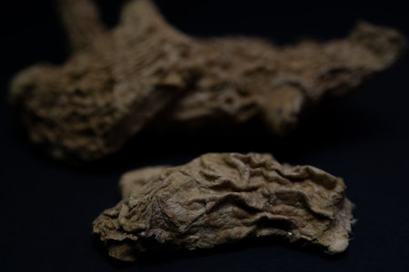 close-up of ginger root isolated on white background with copy spaceの写真素材