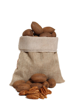 Burlap Bag of Pecans Isolated on White Backgroundの写真素材