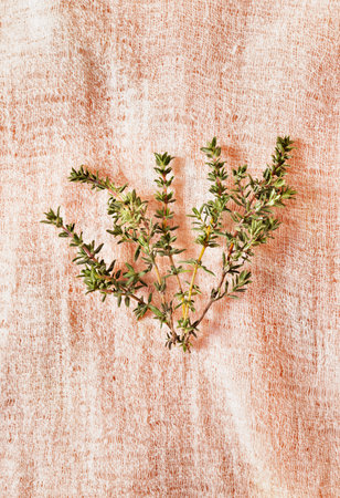 Bunch of fresh thymus on colored background, culinary herbの写真素材