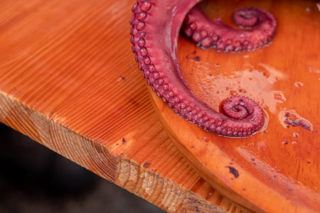 octopus tentacles cooked in Galicia in the Pulpo a Feira style