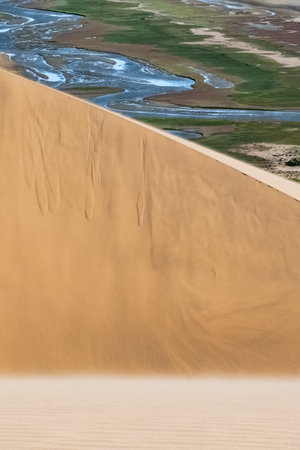Namibia, the Namib desert, landscape of yellow dunes falling into the seaの写真素材