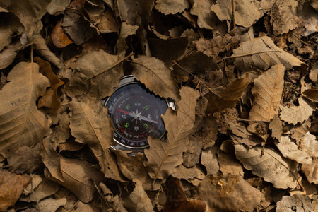 close-up of a compass hidden among the leaves in the forestの写真素材