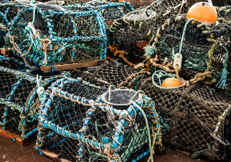 Fishermen lobster pots drying in the harbour at Shaldon, Devon.April 2018