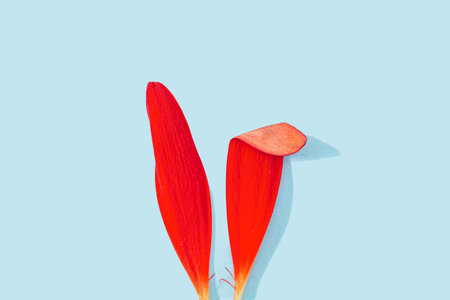 Happy Easter minimal concept. Bunny rabbit ears made of natural red leaves on pastel blue background. Flat layの写真素材