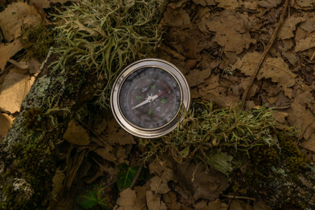 close-up of a compass on tree branches with ferns on the path of a hiking routeの写真素材