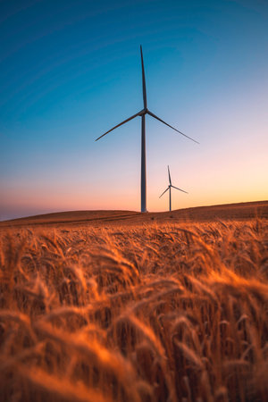 Two wind turbines rotate around generating energy in the middle of a wheat field.  Wind farms, are becoming an increasingly important source of intermittent renewable energy and are used by many countries as part of a strategy to reduce their reliance on fossil fuels.の写真素材