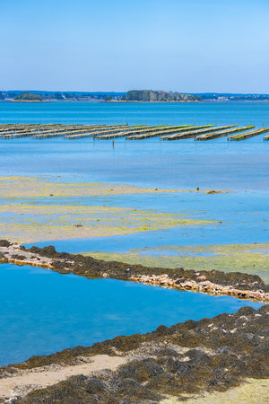 Brittany, panorama of the Morbihan gulf, view from the Ile aux Moines island, with an oyster shipの写真素材