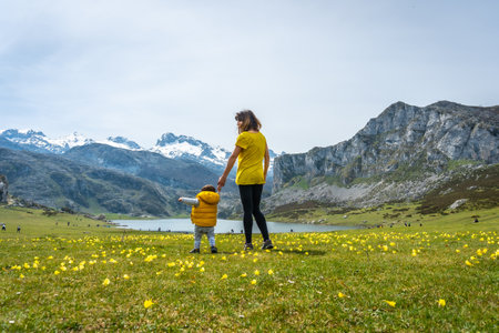 First steps of a baby in Lake Ercina in spring with yellow flowers in the Lakes of Covadonga. Asturias. Spainの写真素材
