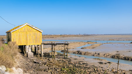 Wooden colorful houses, oyster huts on the Oleron island in France, with the Re island bridge in backgroundの写真素材