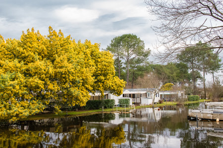 Biscarosse in the Landes, houses and pier on the riverの写真素材