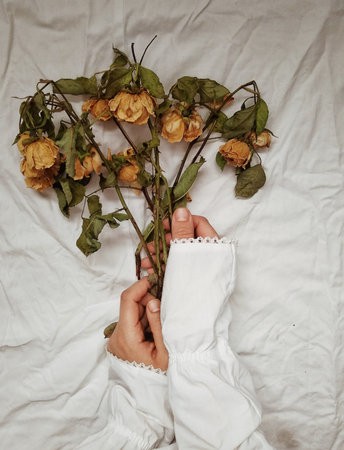Female hands holding fade roses on the bedの写真素材