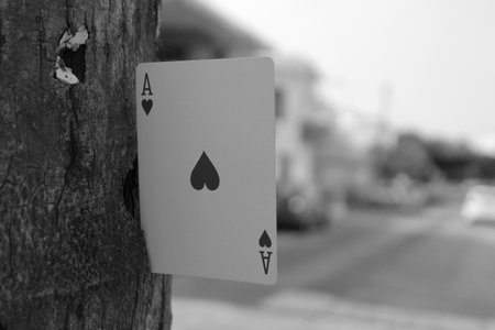 A greyscale shot of an Ace of Hearts playing card stuck on the trunk of a tree