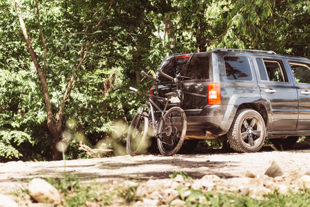 A mountain bike parked on tree routes - adventure, mountain biking