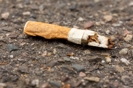 A selective focus shot of cigarette butt on the ground- concept for improper disposal of garbageの写真素材