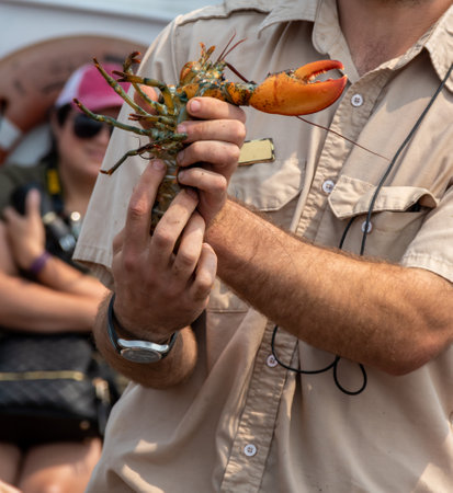 A closeup shot of a man holding a big lobsterの写真素材