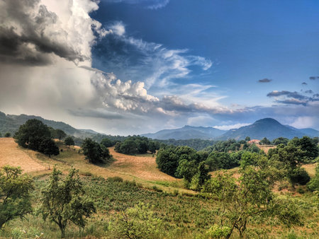 A closeup shot of forested mountains under a bright skyの写真素材