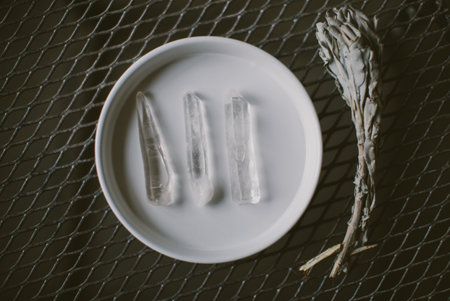 A closeup of several crystals in a white plate and a sageの写真素材