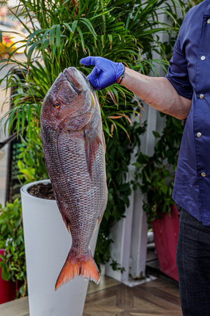 A vertical shot of a male holding a huge fishの写真素材
