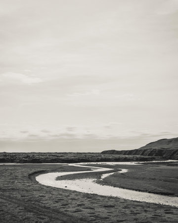 A vertical shot of a river in a field on a gloomy day in dim colors