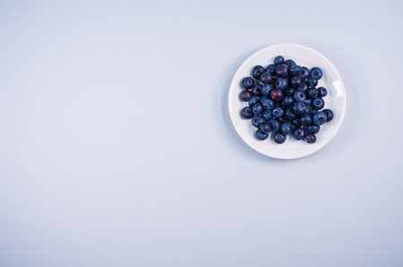 A closeup of a white plate with blueberry on the light blue background.の写真素材