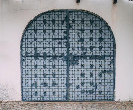 A shot of the interesting shaped cultural door with white and blue colors.の写真素材