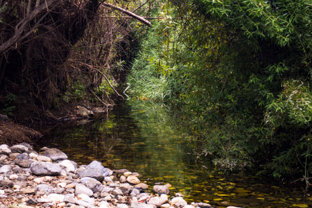 A rocky mountain stream in Andalusia, Spainの写真素材
