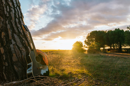 A guitar leaning on the tree trunk in a field under a cloudy sky at sunsetの写真素材