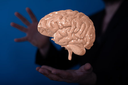 A person presenting the virtual projection of human brainの写真素材