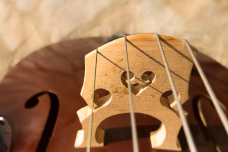 A closeup of a bridge with strings of a hand-carved