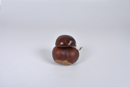 Poisonous horse chestnut with edible sweet chestnut on top for comparison isolated on white copy...