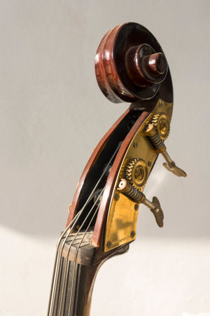 A closeup of a head and scroll and tuning pegs of a hand-carved Double bassの写真素材